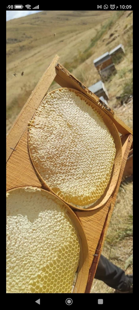 Muş ovasının endemik çiçeklerinden üretilmiş doğal BAL