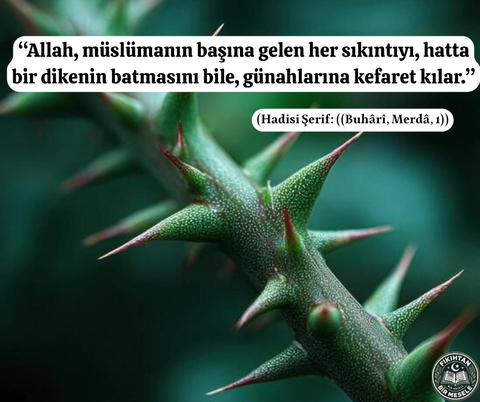 Dini Fetvalar ve Fıkıh Konuları