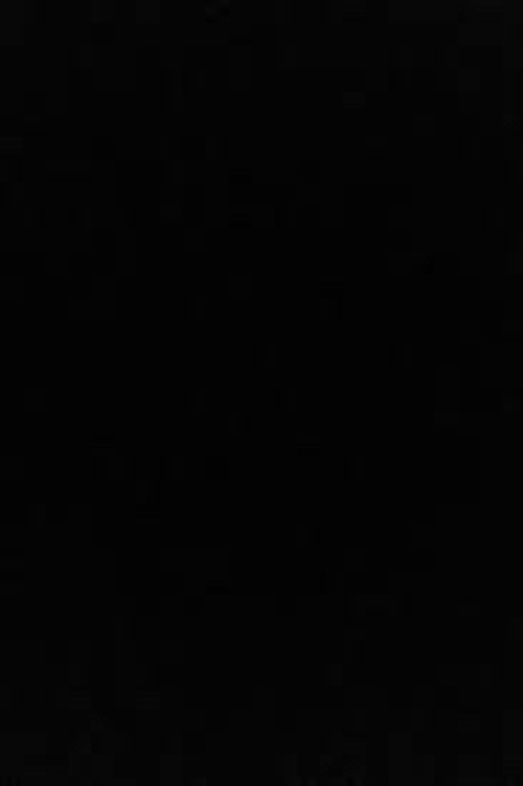 Herkes idölünün SS'ini atsın