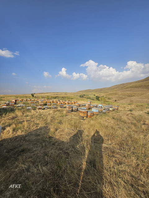 Muş ovasının endemik çiçeklerinden üretilmiş doğal BAL
