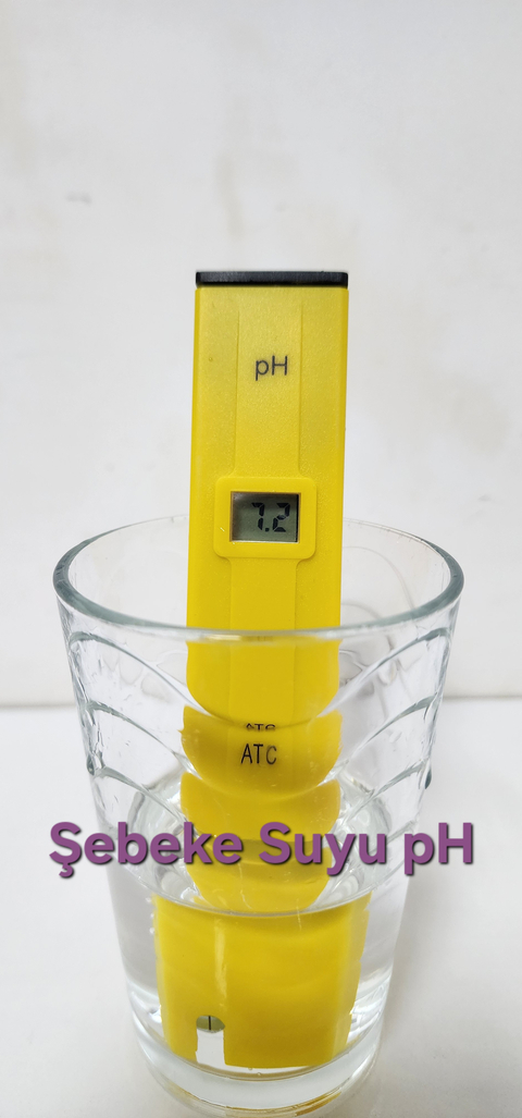 Roycera Alkali Filtre Orp,tds, ph ölçüm , inceleme test konusu