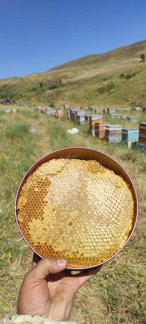 Muş ovasının endemik çiçeklerinden üretilmiş doğal BAL