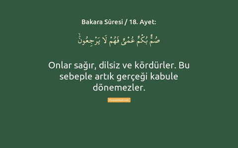 bir siz varsınız bir de onlar.