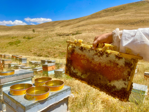 Muş ovasının endemik çiçeklerinden üretilmiş doğal BAL