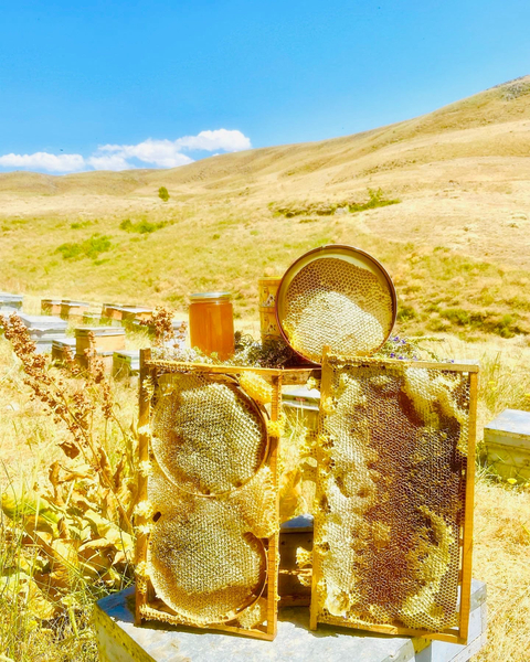 Muş ovasının endemik çiçeklerinden üretilmiş doğal BAL