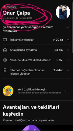 YouTube Premium Kardeşliği - ANAKONU