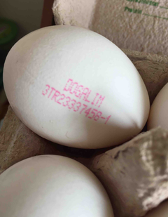Yumurtalarda Takip kodu dönemi başlıyor!