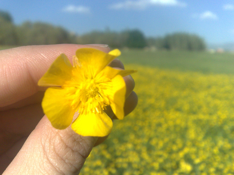 Huawei Pura 80 serisi, mobil fotoğrafçılığın sınırlarını zorlayacak