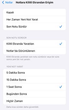 iOS 17  | ANA KONU l 17.4.1