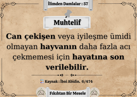 Dini Fetvalar ve Fıkıh Konuları