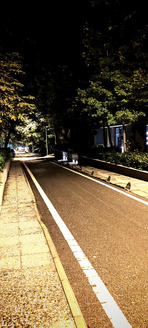 HONOR 90 ANA KONU 12/512 GB (TR DE SATIŞA ÇIKTI)