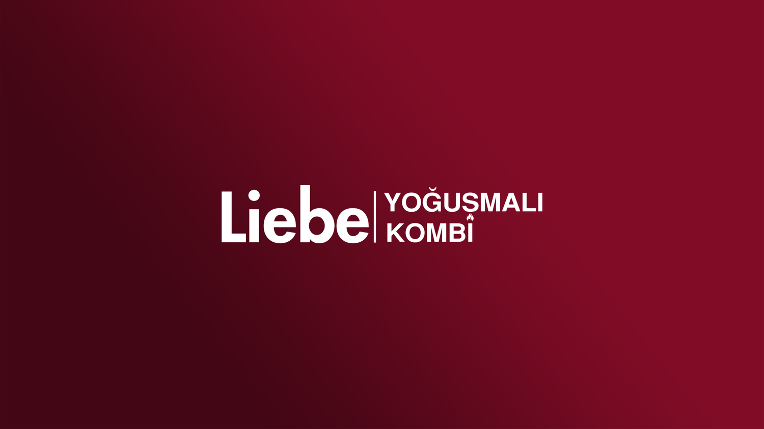 LİEBE ECOMİX 24 Kullanıcıları
