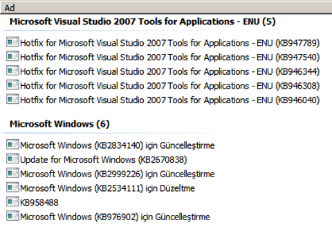 Windows 7 update yapmıyor