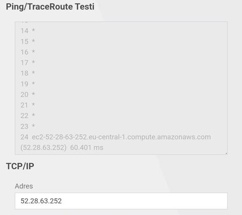 Bir Garip Ping Problemi