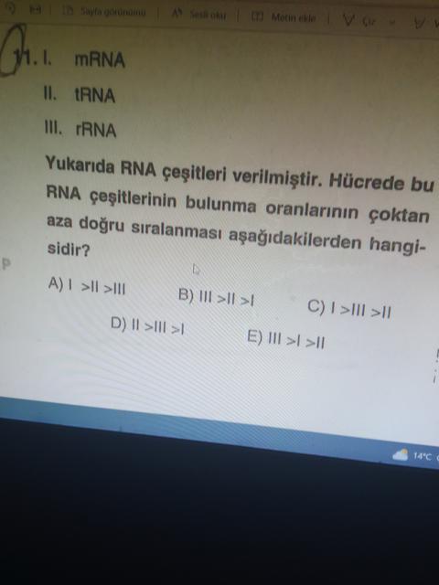 5 Tane Biyoloji Sorusu (Lütfen yardım)