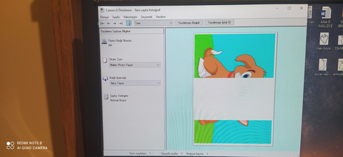 Yazıcı Baskı önizleme sorunu
