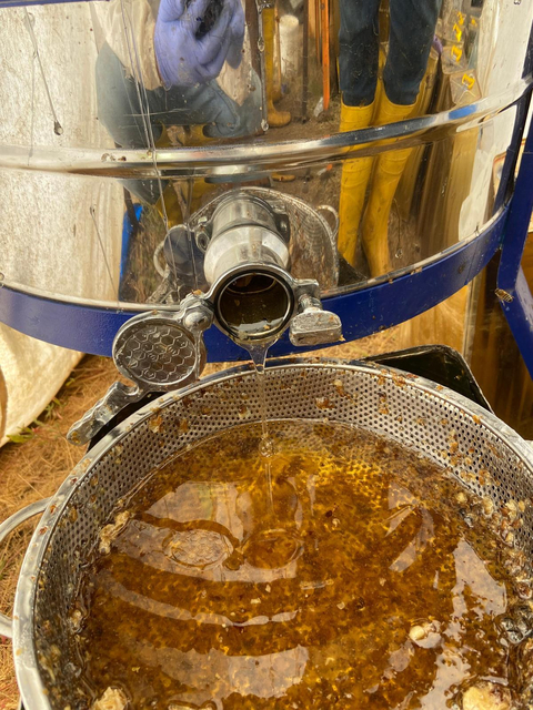 Muş ovasının endemik çiçeklerinden üretilmiş doğal BAL