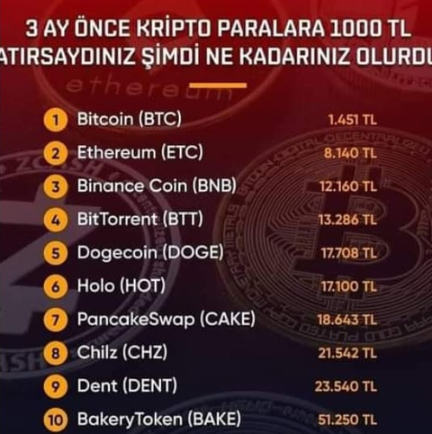 Kripto para piyasasında SHIB fırtınası esiyor