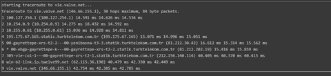 vie.valve.net ping sonucumuzu paylaşalım.