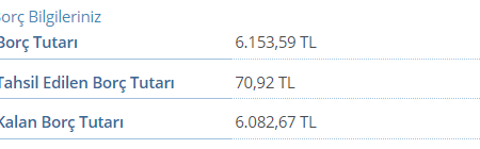 Aldığım KYK 28bin lira, ödenecek borç 48bin lira