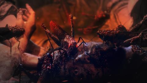 Wo Long: Fallen Dynasty | PS4 - PS5 | ANA KONU