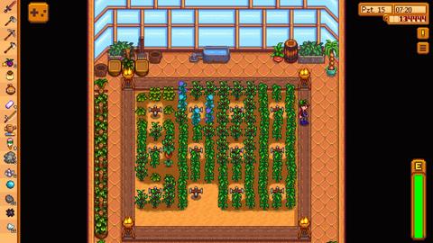 Stardew Valley (2016) [ANA KONU]