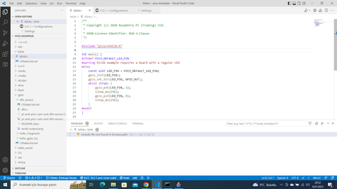 Visual Studio Code Raspberry Pico Kütüphane hatası