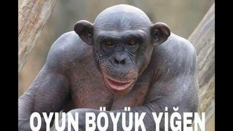 Mazota 10 Günde 87 Kuruş Zam Geldi, Dolar 1 Ayda 1 Lira 3 Kuruş Değerlendi