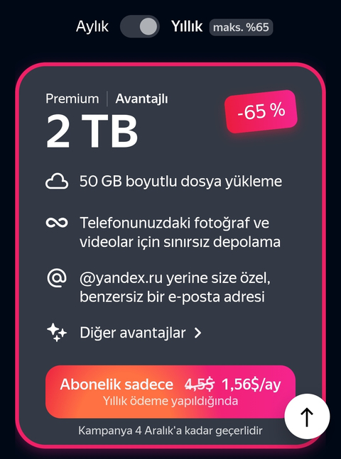 Yandex 360 - 2 TB + Özel Mail 1,56 $
