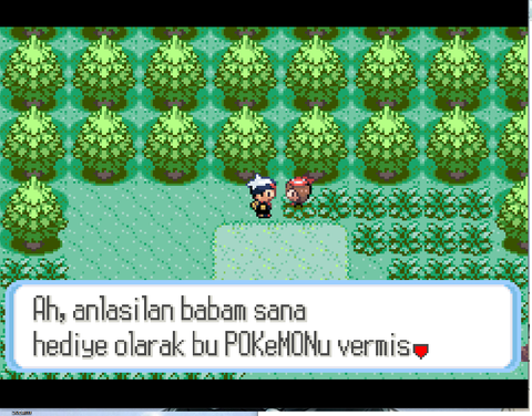 Nintendo ds ve game boy advance çeviri edit