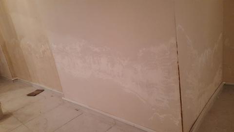 Rutubetli bodrum katı Tamir-Boya-Havalandırma?