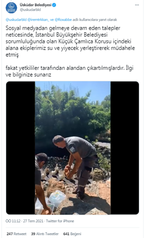 ibb ağaçları ve hayvanlara yiyecek kaplarını kaldırdı