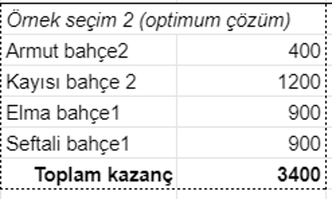 Bu probleme algoritme geliştirebilir misiniz?