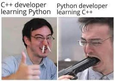 Bu cs hocaları python düşmanı