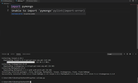 Visual Studio(İmport pymongo)