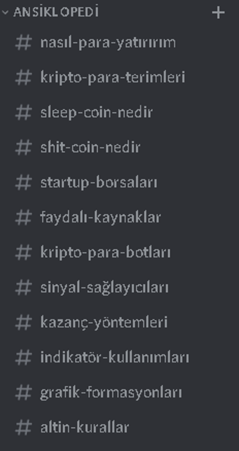 discord'ta kripto para ansiklopedi sunucusu açtım