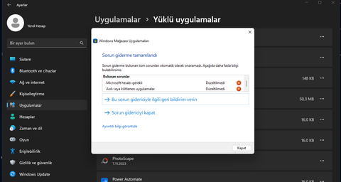 Paint 3D Windows 11 de Kendiliğinden Kapanıyor