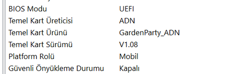 Güvenli Önyükleme açık görünmesine rağmen kapalı