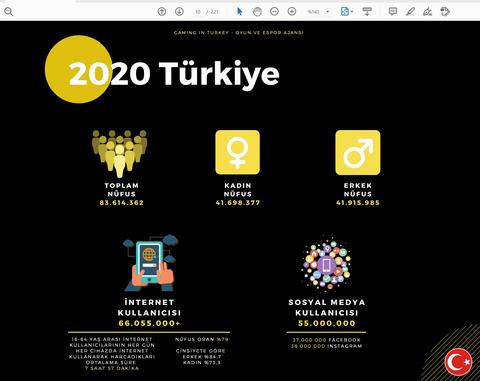2020 Türkiye Oyun Sektörüne Dair Veriler
