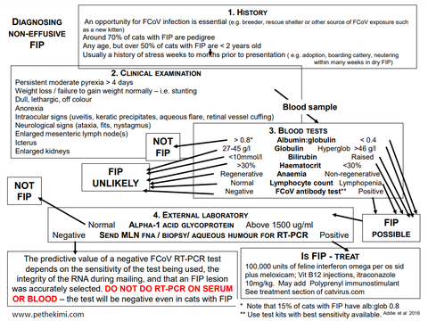 Fip Tedavisi ve GS441524 ilaçları