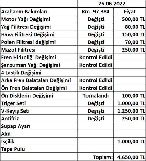  PEUGEOT 208 SAHİPLERİ