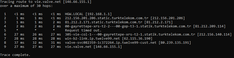 vie.valve.net ping sonucumuzu paylaşalım.