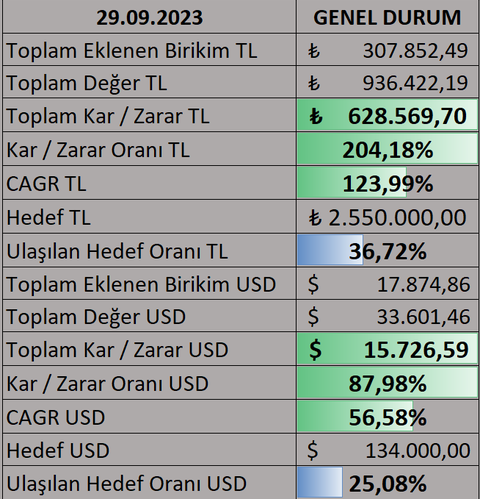 Bir Türk gencinin yatırım serüveni