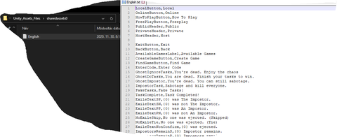 Among Us Import sorun