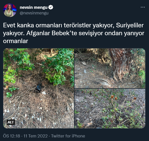 Nevşin Mengü'nün ırkçı twitleri