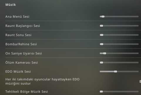 Csgo edo müziği ayarları