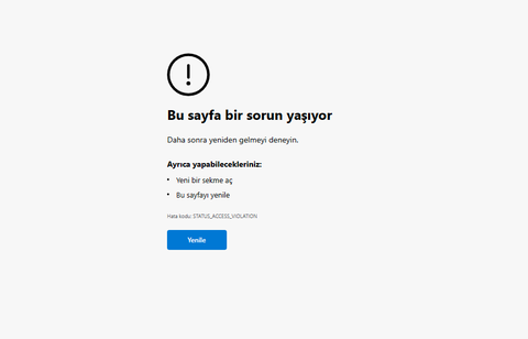 yeni formatlanmış windows 11 pc de tarayıcı hatası (ss li)