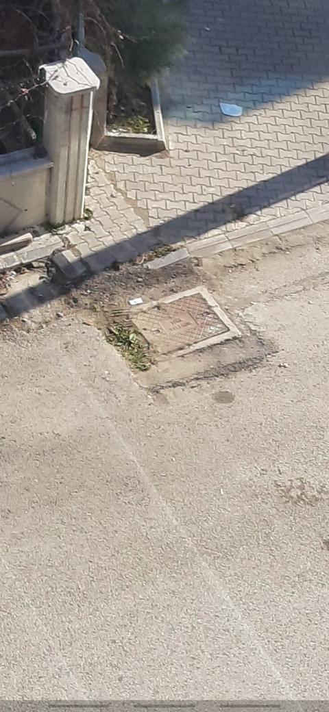 Türk Telekom Dilekçe Örneği - Örnekleri ve Altyapı Port - Fiber - talepleri