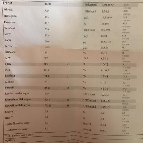 Kan tahlilinden anlayan var mı? (SS)