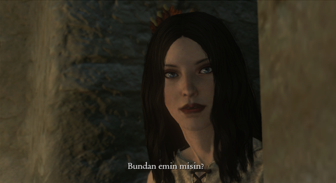 Dragons Dogma Dark Arisen Türkçe Yama